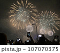 花火 キラキラ輝くもの 線香花火 107070375