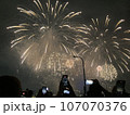 花火 キラキラ輝くもの 線香花火 107070376