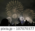 花火 キラキラ輝くもの 線香花火 107070377