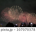 花火 キラキラ輝くもの 線香花火 107070378