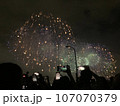 花火 キラキラ輝くもの 線香花火 107070379