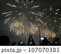 花火 キラキラ輝くもの 線香花火 107070381