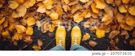 yellow boots on autumn leaves in the park. protect your feet from the rain. Autumn has come. yellow leaves. yellow boots on autumn leaves in the park. protect your feet from the rain. Autumn has come. yellow leaves. 107071610