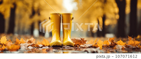rubber yellow boots on autumn leaves in the park. protect your feet from the rain. Autumn has come. yellow leaves. rubber yellow boots on autumn leaves in the park. protect your feet from the rain. Autumn has come. yellow leaves. 107071612
