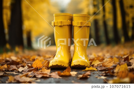 rubber yellow boots on autumn leaves in the park. protect your feet from the rain. Autumn has come. yellow leaves. 107071615