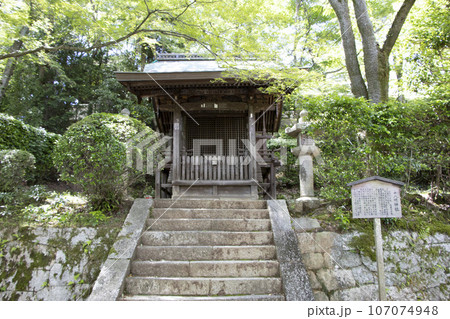 園城寺 十八明神社 107074948
