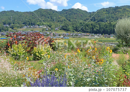 池田町ハーブステーション　花とハーブのガーデン 107075737