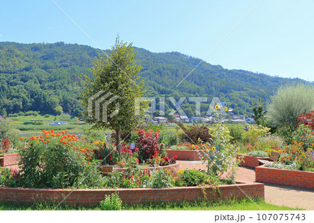 池田町ハーブステーション 花とハーブのガーデン 池田町ハーブステーション 花とハーブのガーデン 107075743