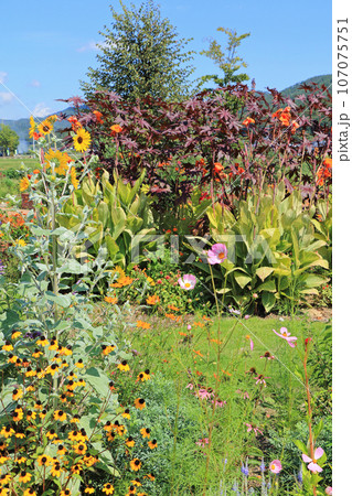 池田町ハーブステーション　花とハーブのガーデン 107075751