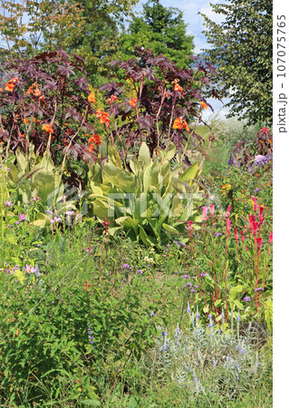 池田町ハーブステーション 花とハーブのガーデン 池田町ハーブステーション 花とハーブのガーデン 107075765