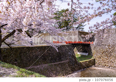 福島県会津若松市 天守閣を眺める桜咲く春の会津若松城のお堀と廊下橋 福島県会津若松市 天守閣を眺める桜咲く春の会津若松城のお堀と廊下橋 107076056