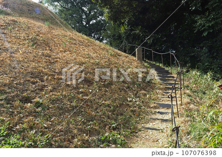 東沼神社の富士塚【埼玉県川口市】 107076398