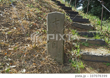東沼神社の富士塚【埼玉県川口市】 107076399