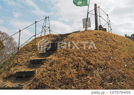 東沼神社の富士塚【埼玉県川口市】 東沼神社の富士塚【埼玉県川口市】 107076400