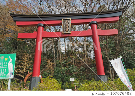 東沼神社の鳥居【埼玉県川口市】 東沼神社の鳥居【埼玉県川口市】 107076408