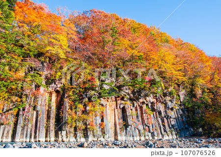 八幡平・松川渓谷の紅葉（松川玄武岩） 107076526