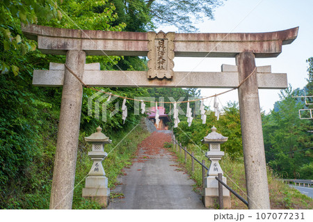 日野澤大神社　鳥居　早朝の風景　皆野町 107077231