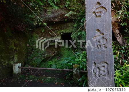 円覚寺 白鹿洞 円覚寺 白鹿洞 107078556