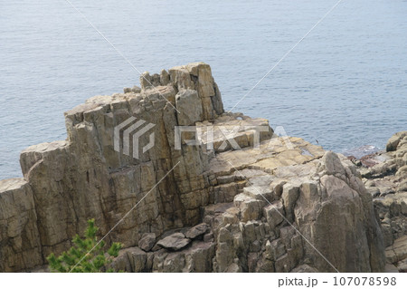 越前海岸 東尋坊の三段岩 越前海岸 東尋坊の三段岩 107078598