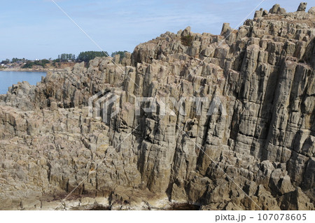 越前海岸 東尋坊 越前海岸 東尋坊 107078605