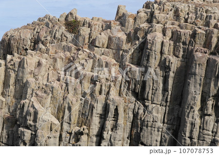 越前海岸　東尋坊 107078753