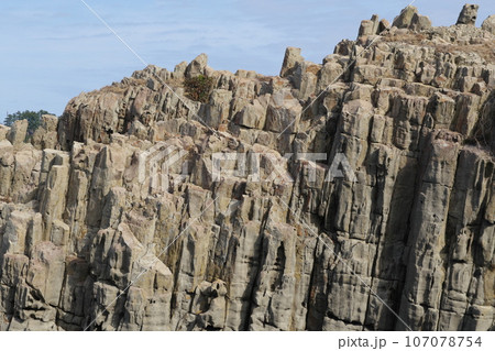 越前海岸 東尋坊の崖 越前海岸 東尋坊の崖 107078754