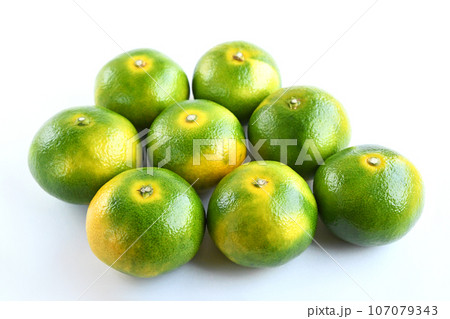 みかん（日南一号） 107079343