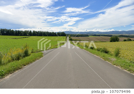 北海道 美瑛の一本道 107079496