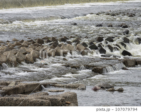 河川に造られた自然浄化施設 107079794