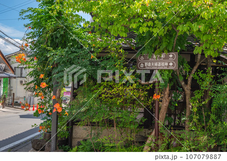 【別所温泉】街角の風景【夏】 107079887