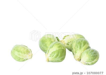 白背景の芽キャベツ 107080077