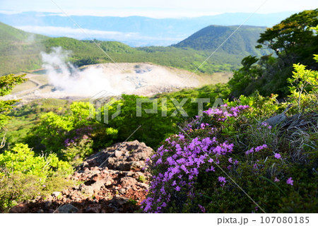 ミヤマキリシマが咲く硫黄山の風景 ミヤマキリシマが咲く硫黄山の風景 107080185