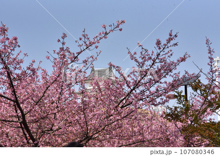 青空と城と桜 青空と城と桜 107080346