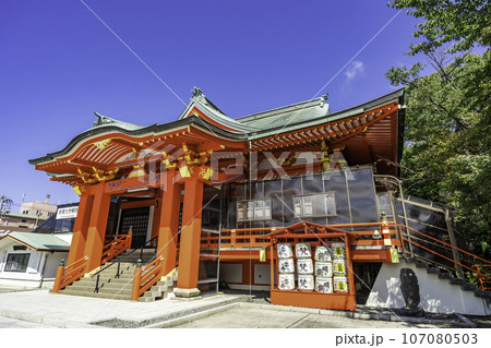 三国湊 成田山九頭竜寺 本堂 福井県坂井市 三国湊 成田山九頭竜寺 本堂 福井県坂井市 107080503