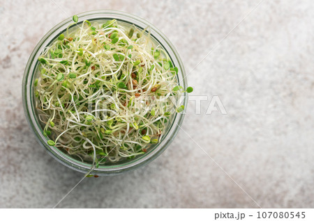 Microgreens grown in a jar. 107080545