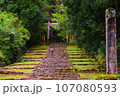 苔むした石段 107080593