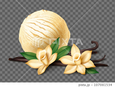 Realistic Vanilla Composition 107081534