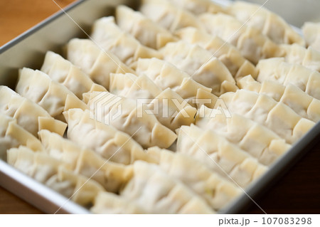 バットに並べた手作りの餃子 107083298