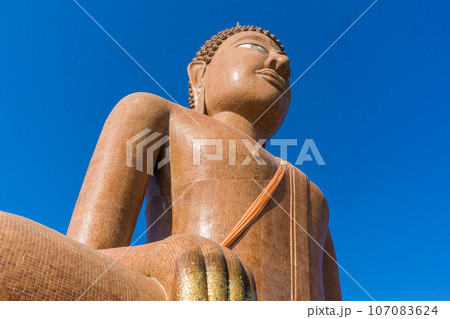 Big brown buddha statue 107083624