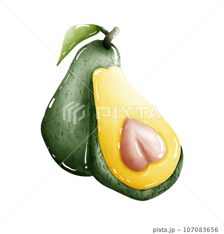 ripe Avocado isolated on white background ripe Avocado isolated on white background 107083656