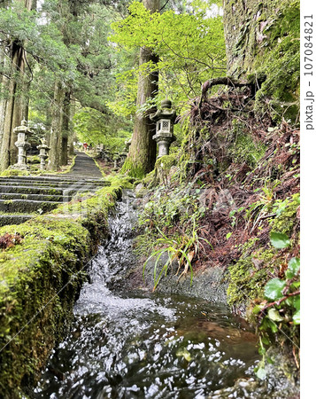 福岡県田川郡添田町英彦山 豊前坊高住神社 福岡県田川郡添田町英彦山 豊前坊高住神社 107084821