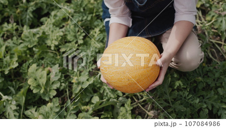A woman holds a large ripe melon in her hands. 107084986