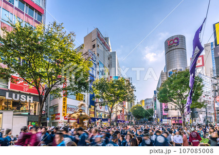 日本の東京都市景観 4年ぶり渋谷「金王八幡宮例大祭」。街に神輿が登場。（車両通行止め）＝9月17日 107085008