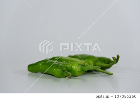 白背景のししとう 107085260
