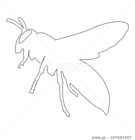 vector wasp logo icon template design vector wasp logo icon template design 107085407