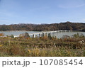北海道の紅葉 107085454