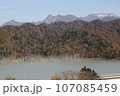 北海道の紅葉 107085459
