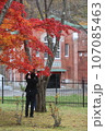 北海道の紅葉 107085463