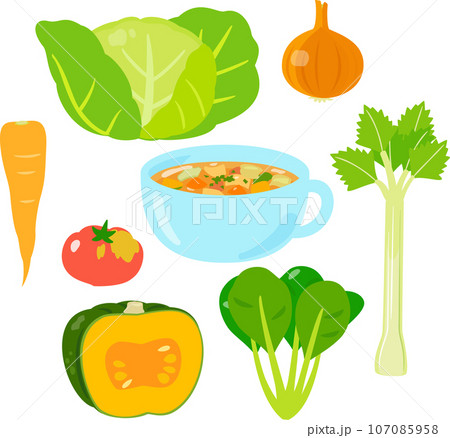 野菜スープと材料の野菜 107085958