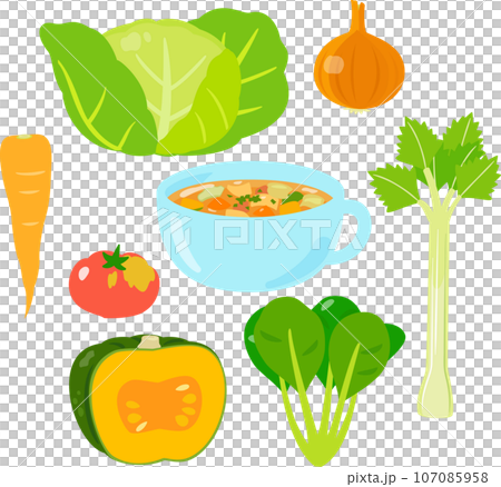 野菜スープと材料の野菜 107085958